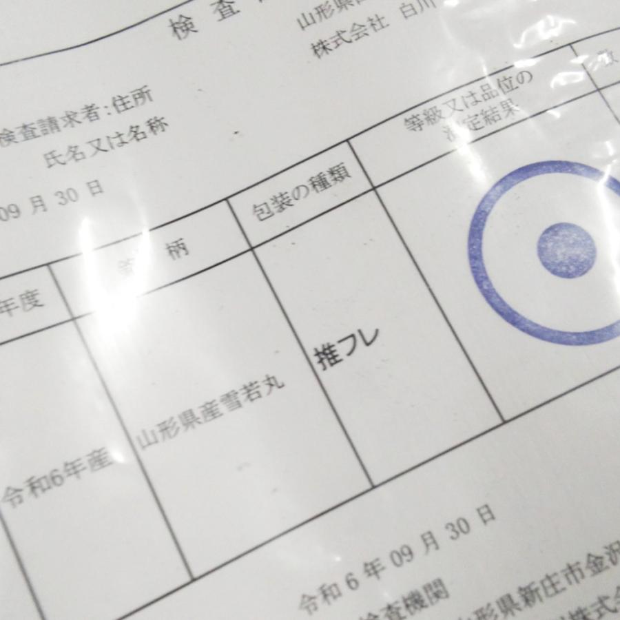 米 10kg 雪若丸 お米 10キロ 令和6年産 特A 山形県 庄内 置賜 米 10kg 雪若丸 お米 10キロ 令和6年産 特A 山形県 庄内 置賜