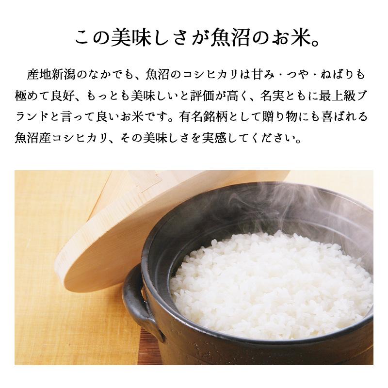魚沼 魚沼産コシヒカリ ZIPパック 2kg x2袋 お米 4キロ 令和7年産 送料