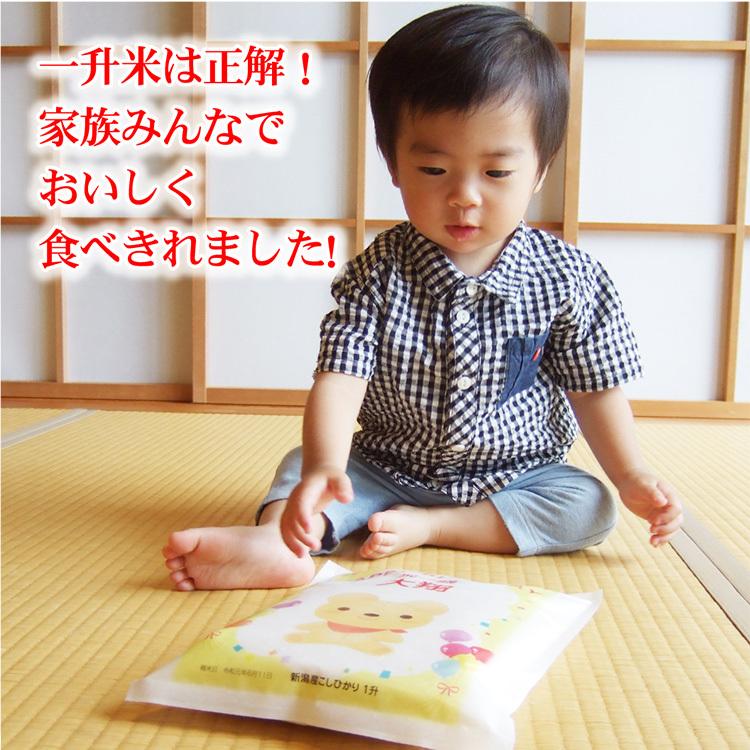 一升米 一歳 一升餅 の代わり 米 新潟産 コシヒカリ 1 5ｋｇ 1升米 一生米 1sho 1sai お米の挨拶ギフト 越後のこめ匠 通販 Yahoo ショッピング