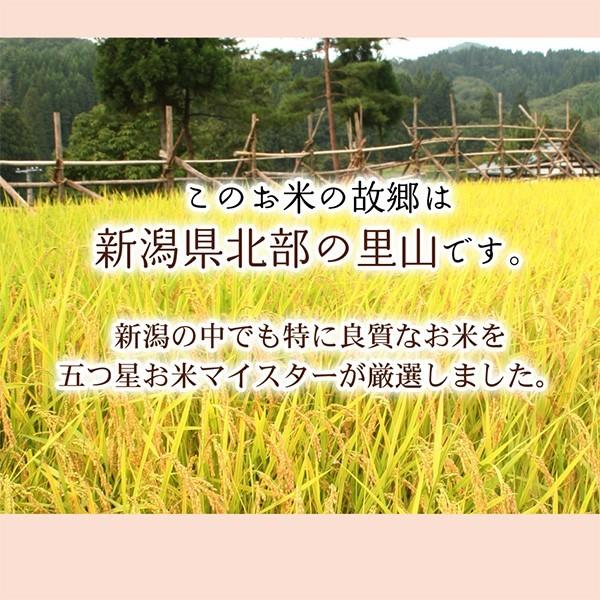 コシヒカリ 米 ギフト 引っ越し 挨拶 3袋セット 新潟産 コシヒカリ3合