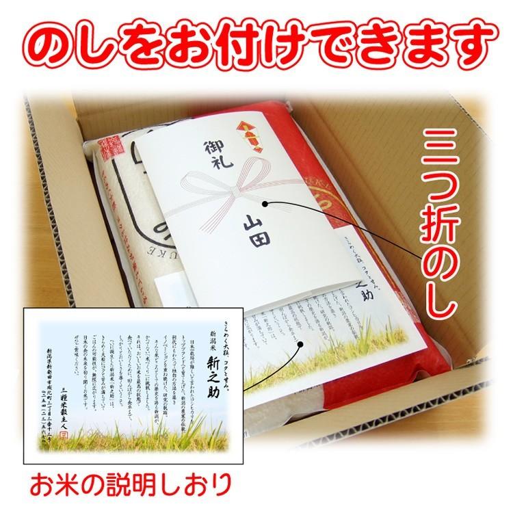 長期保存　真空パック無洗米・令和7年産　新潟　新之助　5キロ２個（10kg) 米 令和7年産 新潟産 新之助 5kg×2 真空パック 10kg : お米の挨拶