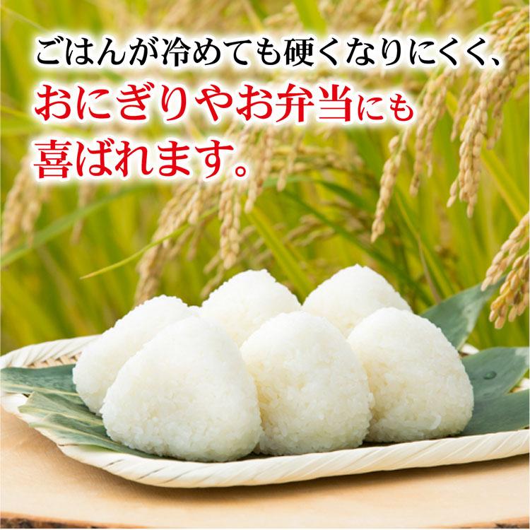 米 令和7年産 新潟産 新之助 5kg×2 真空パック 10kg : お米の挨拶