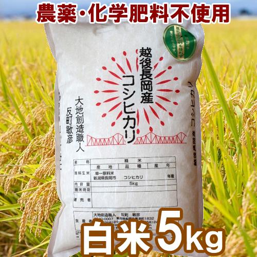 無農薬・化学肥料不使用　白米 5kg　大地創造職人 | コシヒカリ