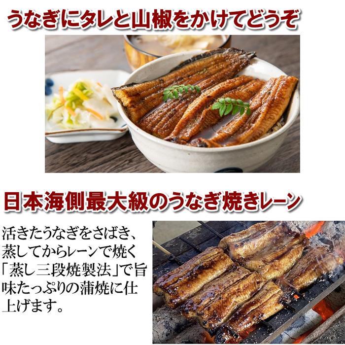 鰻 国産うなぎ 蒲焼 60g３枚 たれ 山椒付き(産地直送)うなふく | ブランド登録なし | 02