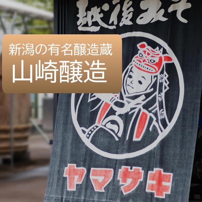 山崎醸造 ギフトセット 丸大豆搾りたて生しょうゆ １Ｌ ５本セット ＮＳ３３ | ブランド登録なし | 03