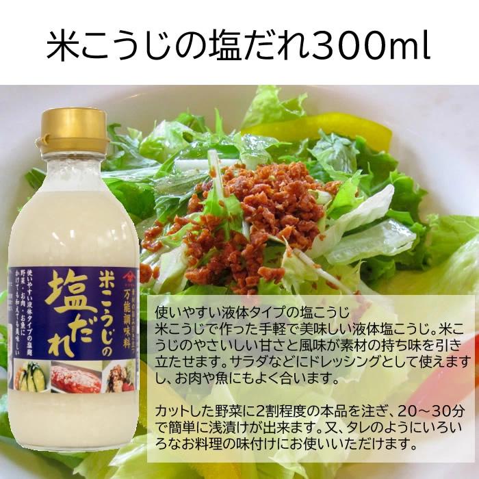 山崎醸造 ギフトセット  味の詰合せＫＴ５−２２ こうじ商品5種類詰め合わせ | ブランド登録なし | 01