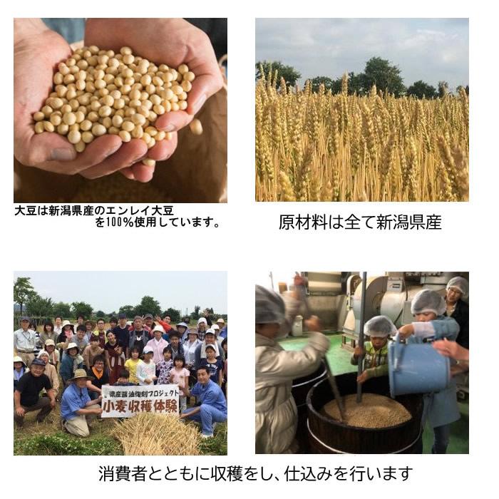 山崎醸造 ギフトセット 新潟県産醤油 郷土の実り360ml 2本セット K-15 | ブランド登録なし | 03