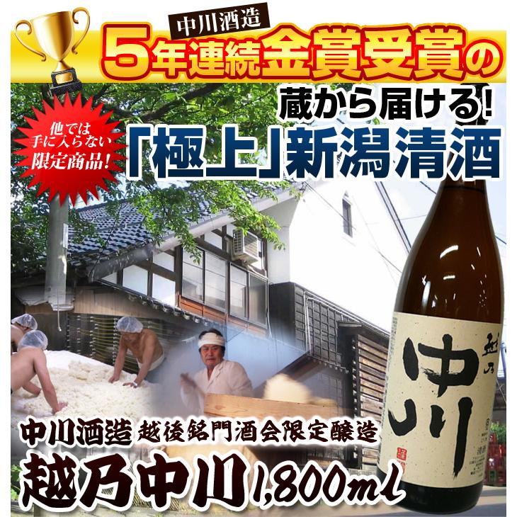 日本酒  越乃中川 1800ml 中川酒造 越後銘門酒会限定 | ブランド登録なし | 01