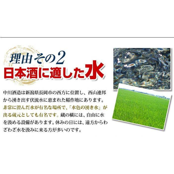 日本酒  越乃中川 1800ml 中川酒造 越後銘門酒会限定 | ブランド登録なし | 03