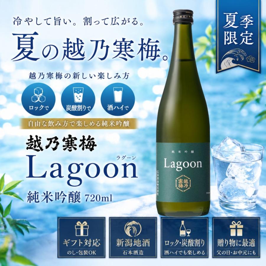 越乃寒梅 Lagoon ラグーン 純米吟醸 720ml 石本酒造 夏限定 | 越乃寒梅 | 01