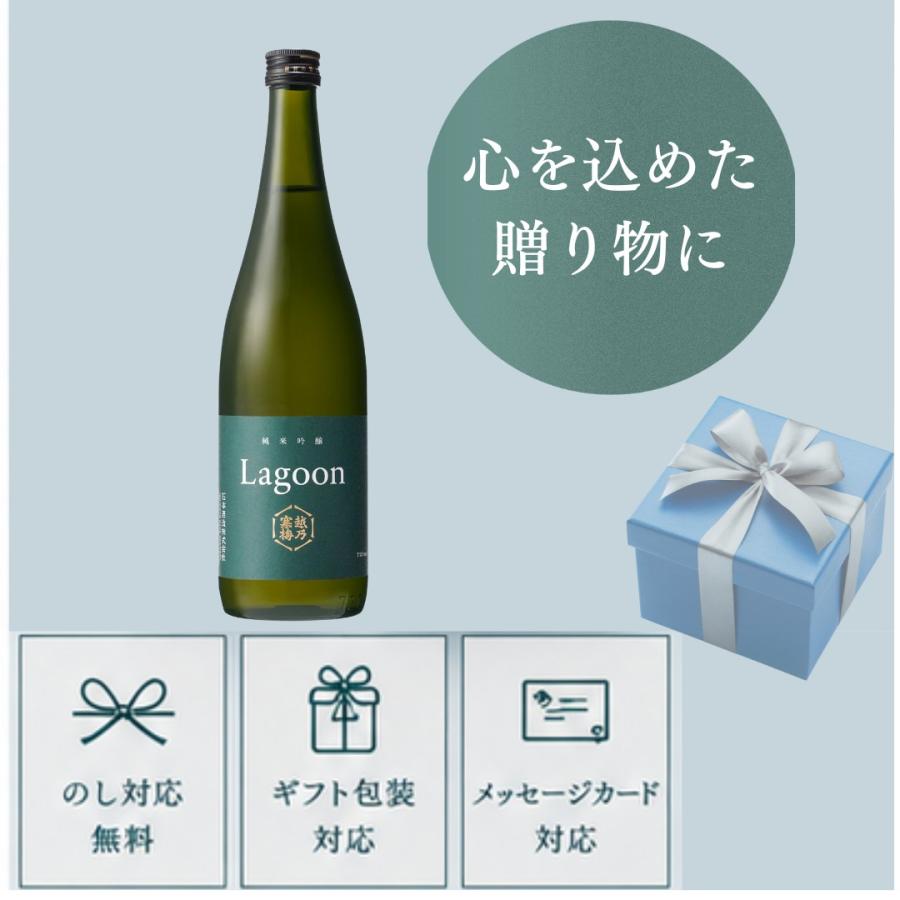 越乃寒梅 Lagoon ラグーン 純米吟醸 720ml 石本酒造 夏限定 | 越乃寒梅 | 05