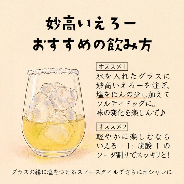 (産地直送)妙高いえろー 300ml 妙高酒造 日本酒 カクテル リキュール | ブランド登録なし | 01