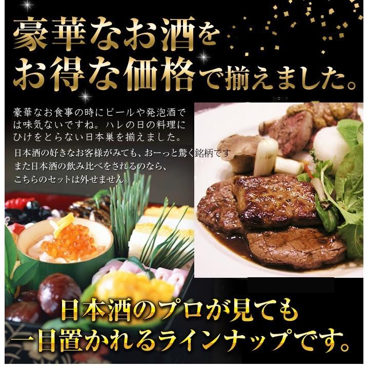 日本酒 飲み比べ 越乃寒梅 灑入り 純米酒 純米吟醸 720ml 5本セット 豪華版ミニ(A554) | 越乃寒梅 灑 | 07