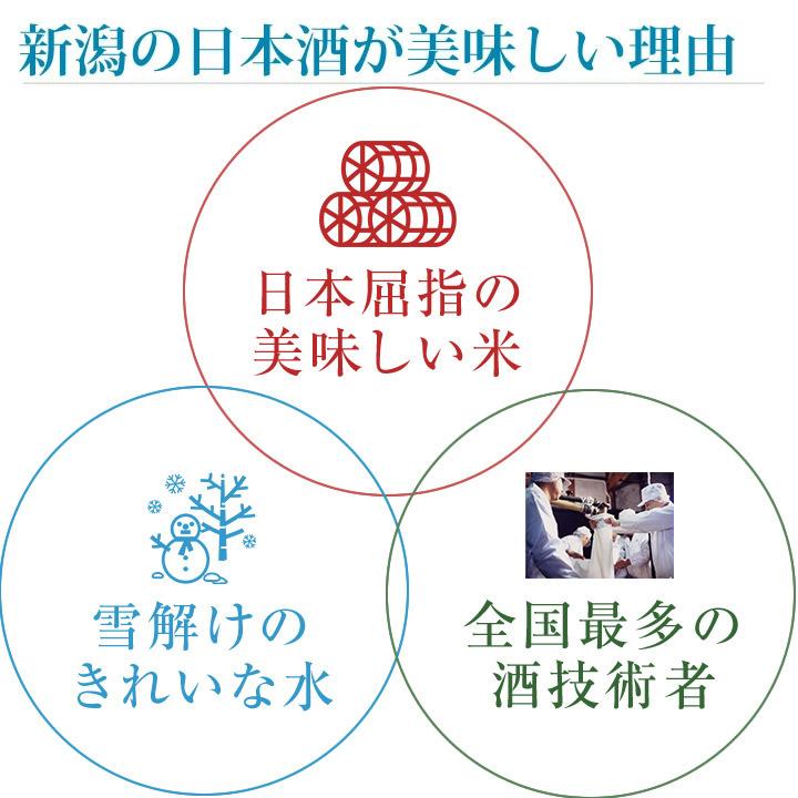 日本酒  プレゼント 飲み比べ セット  ギフト 化粧箱入り 純米大吟醸 大吟醸 720ml 3本 セット(早雲) | ブランド登録なし | 08