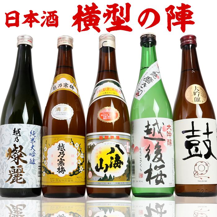 日本酒 飲み比べ セット  ギフト 新潟の有名酒と純米大吟醸 大吟醸 720ml 5本（横型の陣）｜echigo