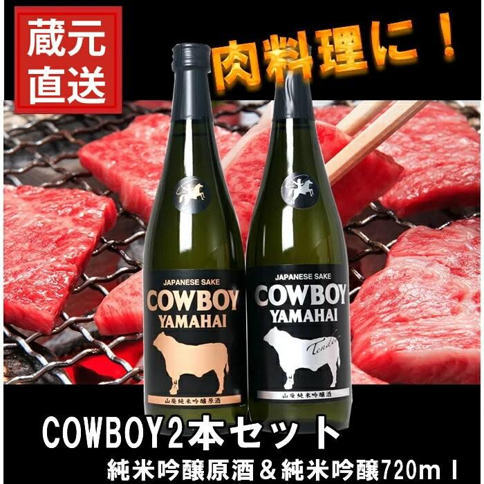 [蔵元直送]日本酒 カウボーイ 原酒＆テンダー 塩川酒造飲み比べ720ml×2 | ブランド登録なし