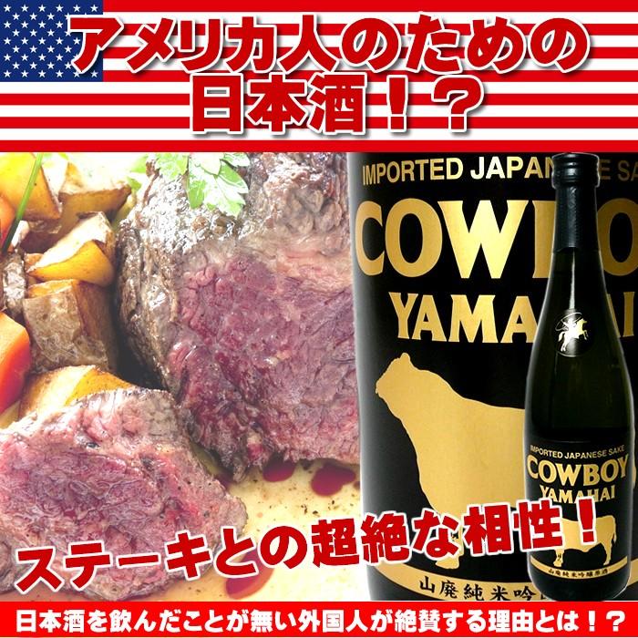 [蔵元直送]日本酒 カウボーイ 原酒＆テンダー 塩川酒造飲み比べ720ml×2 | ブランド登録なし | 01