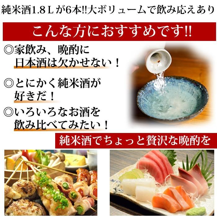 日本酒 飲み比べ セット 越後長岡 純米酒 1800ml 6本 | 朝日山 | 01