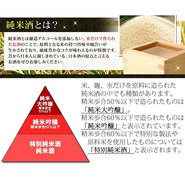 日本酒 飲み比べ セット 越後長岡 純米酒 1800ml 6本 | 朝日山 | 03