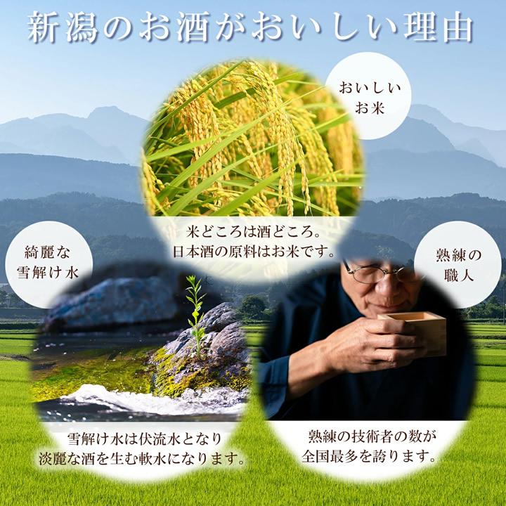 日本酒 新潟 純米大吟醸 飲み比べセット 720ml 3本 化粧箱入り | 吉乃川 | 08