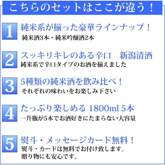 日本酒 飲み比べ セット 辛口 純米酒 純米吟醸酒 1800ml 5本 | 朝日山 | 02