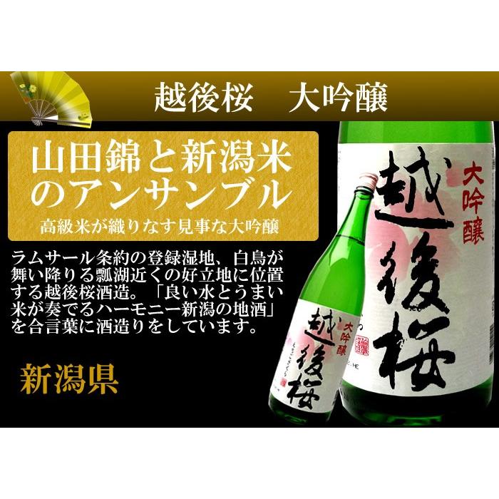 日本酒 飲み比べ セット  ギフト 大吟醸 純米大吟醸 ミニ 720ml 5本セット｜echigo｜06