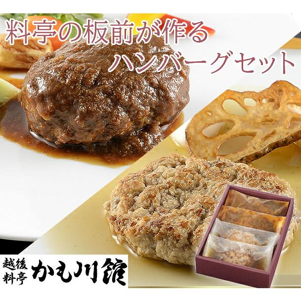 かも川本館 ハンバーグセット 出汁・デミグラス 各2個 冷凍(産地直送) | 