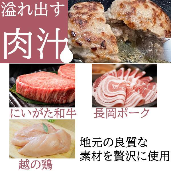 かも川本館 ハンバーグセット 出汁・デミグラス 各2個 冷凍(産地直送) |  | 04
