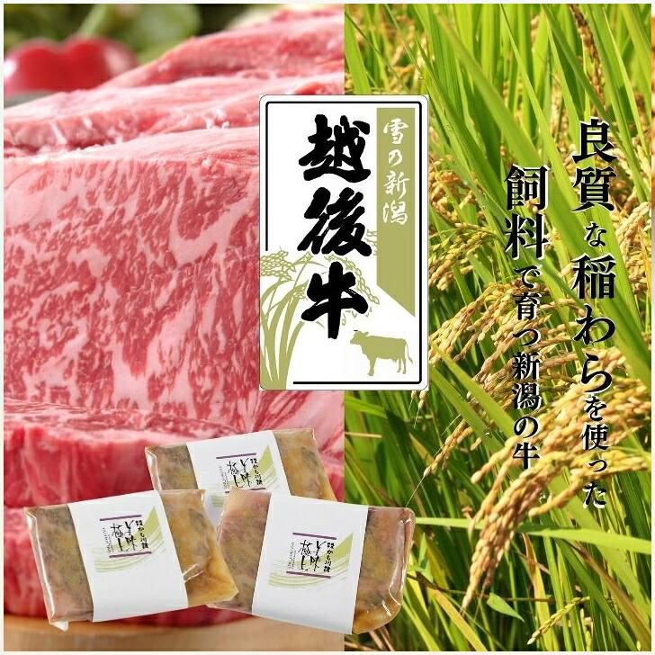 かも川本館 越後牛サーロイン越後味噌漬 3枚(産地直送) |  | 02