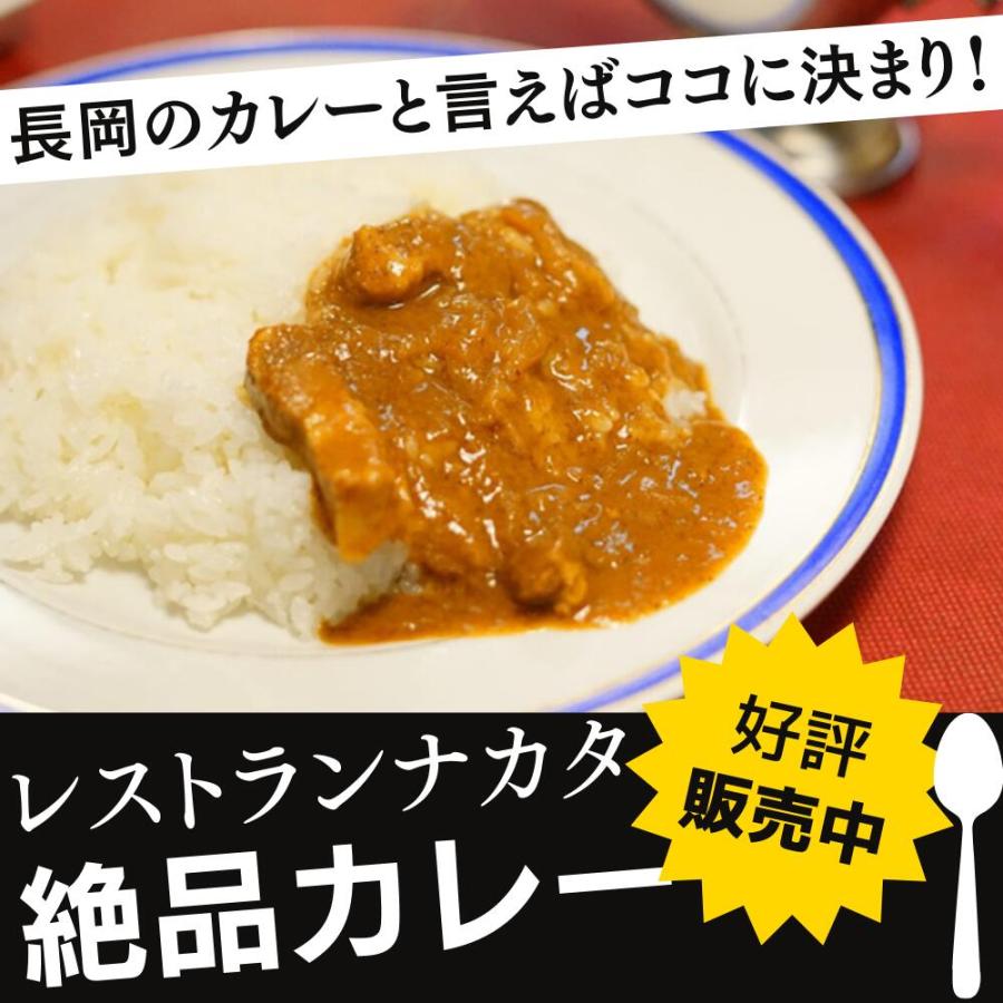 レストランナカタ カレー食べ比べ 5種セット 1倍・3倍・5倍・10倍・50倍 冷凍(産地直送) |  | 01