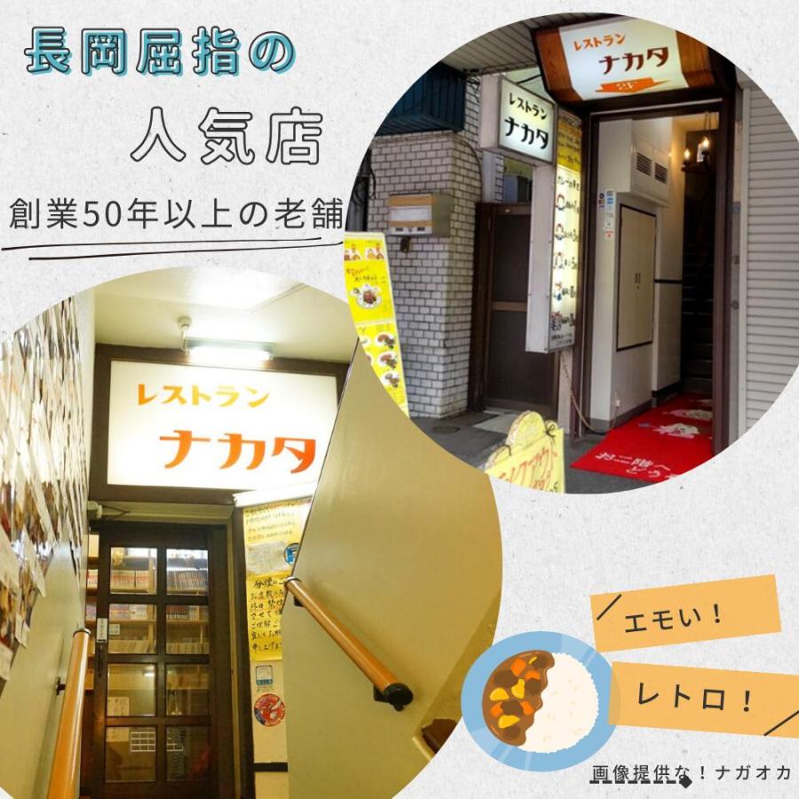 レストランナカタ カレー食べ比べ 5種セット 1倍・3倍・5倍・10倍・50倍 冷凍(産地直送) |  | 02