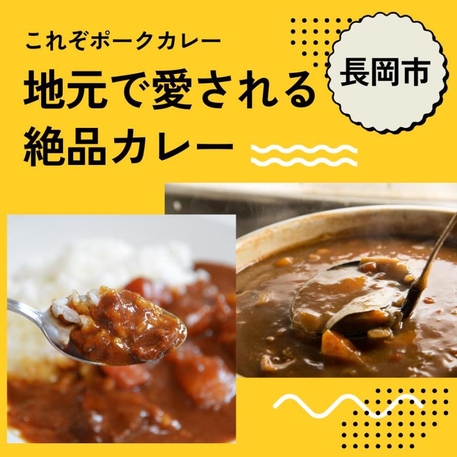 レストランナカタ カレー食べ比べ 5種セット 1倍・3倍・5倍・10倍・50倍 冷凍(産地直送) |  | 04