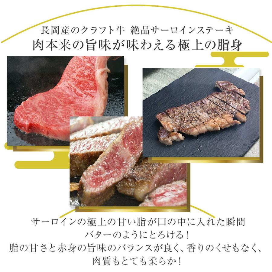 熟成工房朔 長岡産牛サーロインステーキ 450g×1枚 冷凍(産地直送) |  | 02