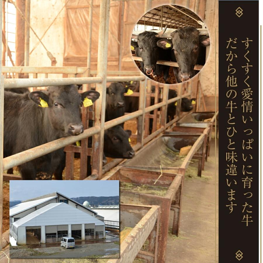 熟成工房朔 長岡産牛サーロインステーキ 450g×1枚 冷凍(産地直送) |  | 04