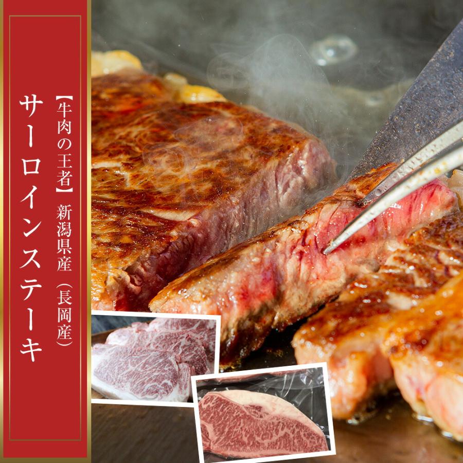 熟成工房朔 長岡産牛サーロインブロック 1kg 冷凍(産地直送) |  | 01