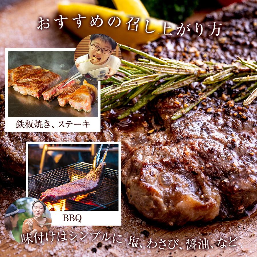 熟成工房朔 長岡産牛サーロインブロック 1kg 冷凍(産地直送) |  | 03