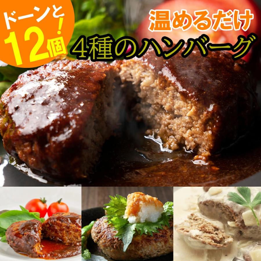 (産地直送)煮込みハンバーグ 食べ比べ 12個セット 170ｇ4種 各3個 冷凍 (株)フードコネクト 朔 | ブランド登録なし