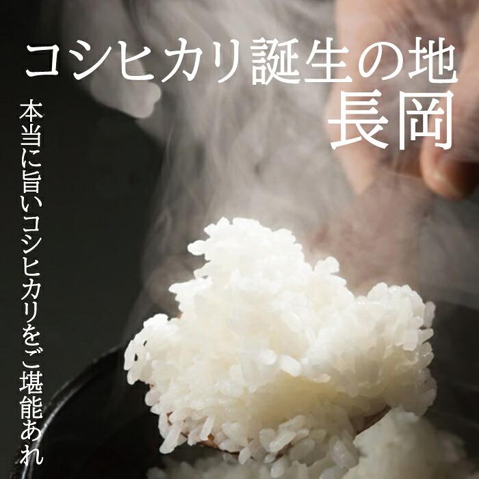 杉本商店 長岡産コシヒカリ 金匠 10kg（5kg×2個）(産地直送) |  | 01