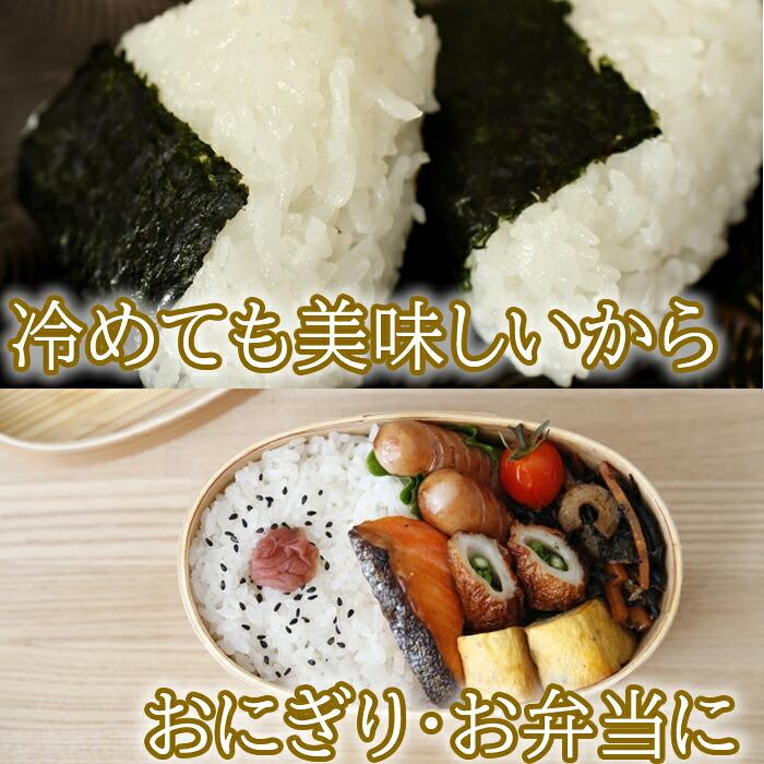杉本商店 長岡産コシヒカリ 金匠 10kg（5kg×2個）(産地直送) |  | 04