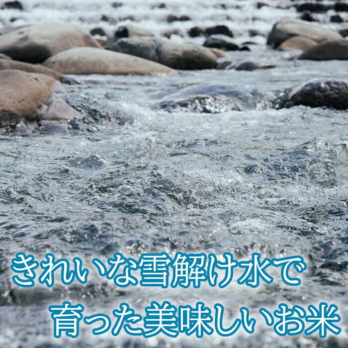 杉本商店 長岡産コシヒカリ 金匠 10kg（5kg×2個）(産地直送) |  | 05