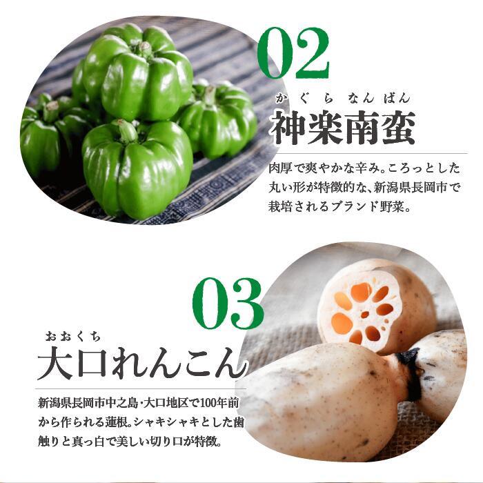 (産地直送)自家製ソーセージ5点セット ビーツー 冷凍 賞味期限90日 | ブランド登録なし | 05