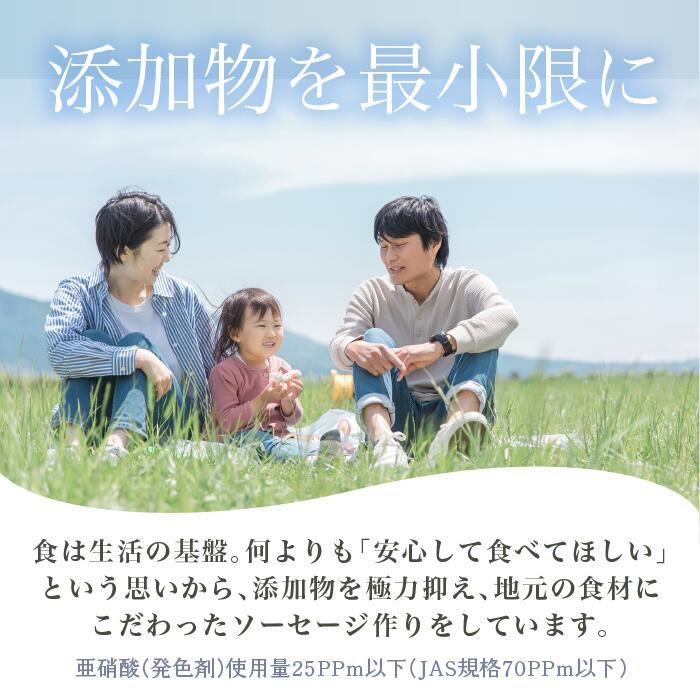 (産地直送)自家製ソーセージ5点セット ビーツー 冷凍 賞味期限90日 | ブランド登録なし | 08