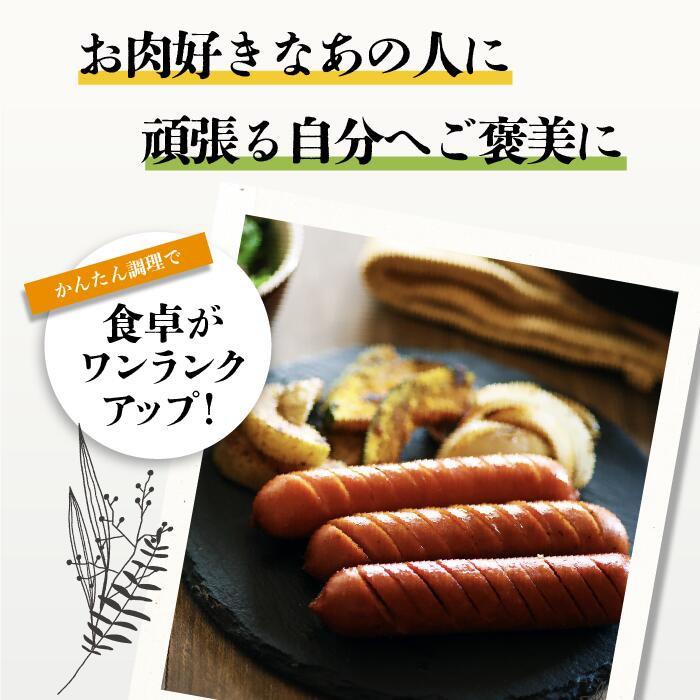 (産地直送)自家製ソーセージ10点セット ビーツー 冷凍 賞味期限90日 | ブランド登録なし | 11