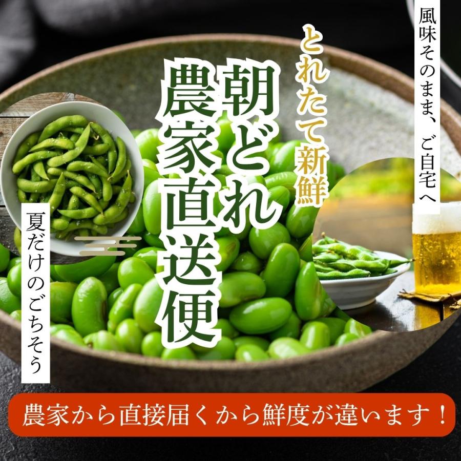 (産地直送)(冷蔵)新潟県の枝豆 えだまめ 1kg ナカムラ農産 ※到着後4日をめどにお召し上がりください えだ豆 長岡枝豆 長岡茶豆 長岡青豆 | ブランド登録なし | 01