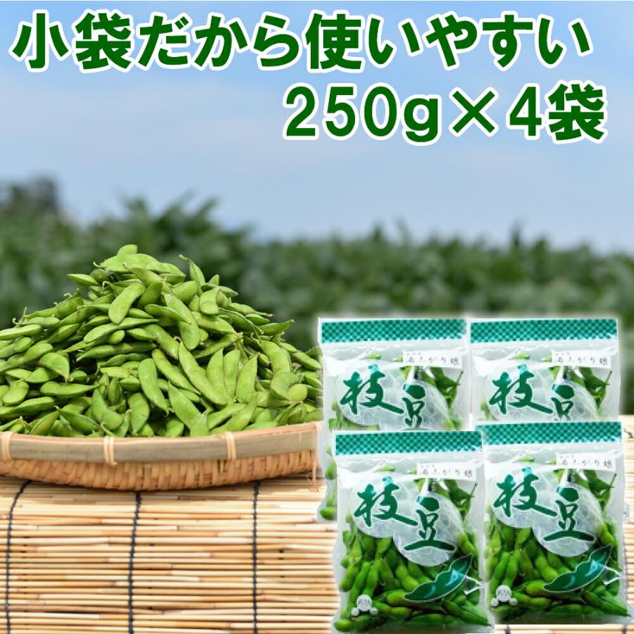 (産地直送)(冷蔵)新潟県の枝豆 えだまめ 1kg ナカムラ農産 ※到着後4日をめどにお召し上がりください えだ豆 長岡枝豆 長岡茶豆 長岡青豆 | ブランド登録なし | 05