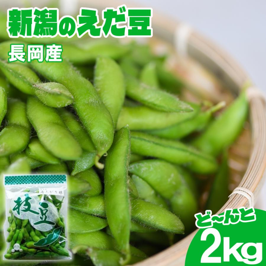 新潟県の枝豆 2kg ナカムラ農産の美味しい 採れたてのえだ豆をすぐにお届けします えだ豆 長岡枝豆 長岡茶豆 | 
