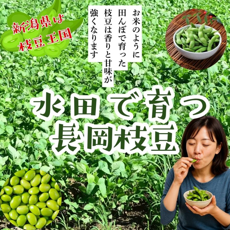 新潟県の枝豆 2kg ナカムラ農産の美味しい 採れたてのえだ豆をすぐにお届けします えだ豆 長岡枝豆 長岡茶豆 |  | 02