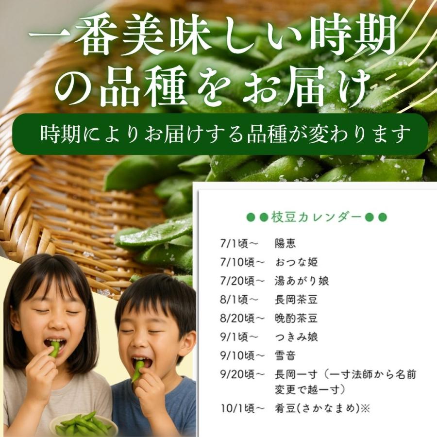 新潟県の枝豆 2kg ナカムラ農産の美味しい 採れたてのえだ豆をすぐにお届けします えだ豆 長岡枝豆 長岡茶豆 |  | 03