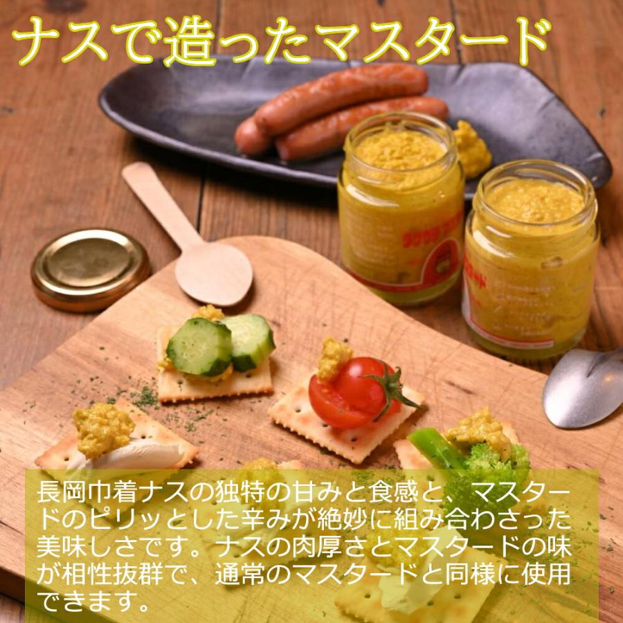 長岡やさい耕房 タケウチマスタード 旨味 100g(産地直送) |  | 02