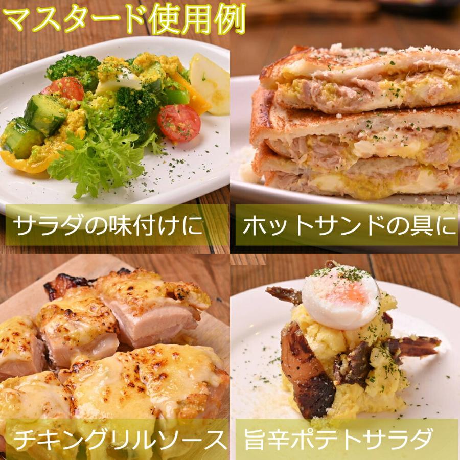 長岡やさい耕房 タケウチマスタード 辛口 100g(産地直送) |  | 03